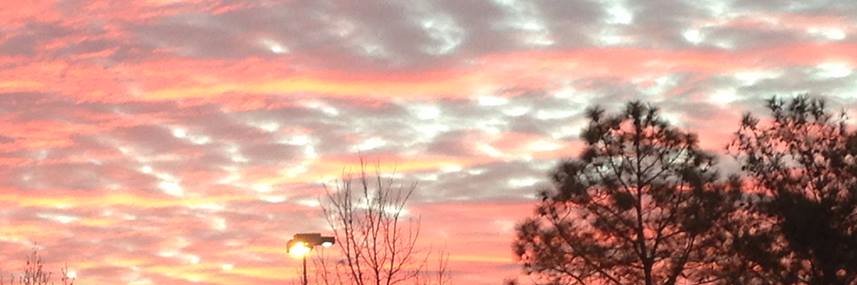 Maliha Nusrat banner