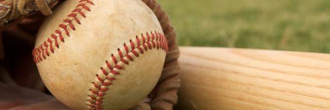 Travelers Rest High Baseball banner