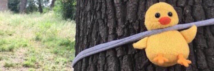 M0jhde's profile banner image
