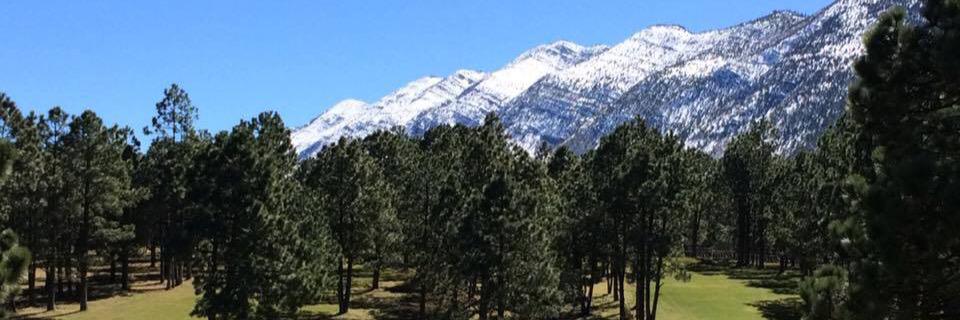 JuventudArteaga's profile banner image