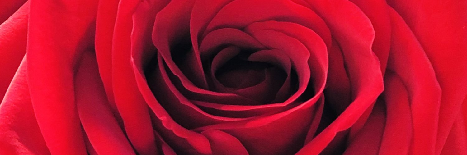 Shortyizblessed's profile banner image