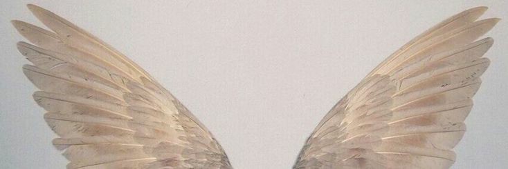 Vyayyy's profile banner image