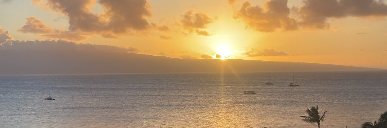 lina_stadler's profile banner image