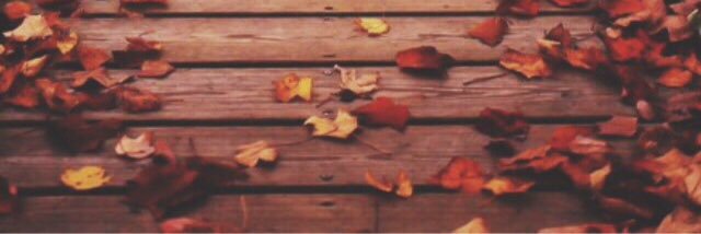 PrismaticLife_'s profile banner image