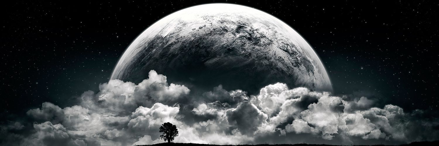 MR RIGHT MONEY banner