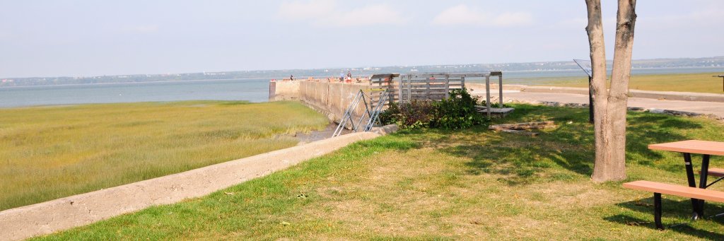 PLotbiniere's profile banner image