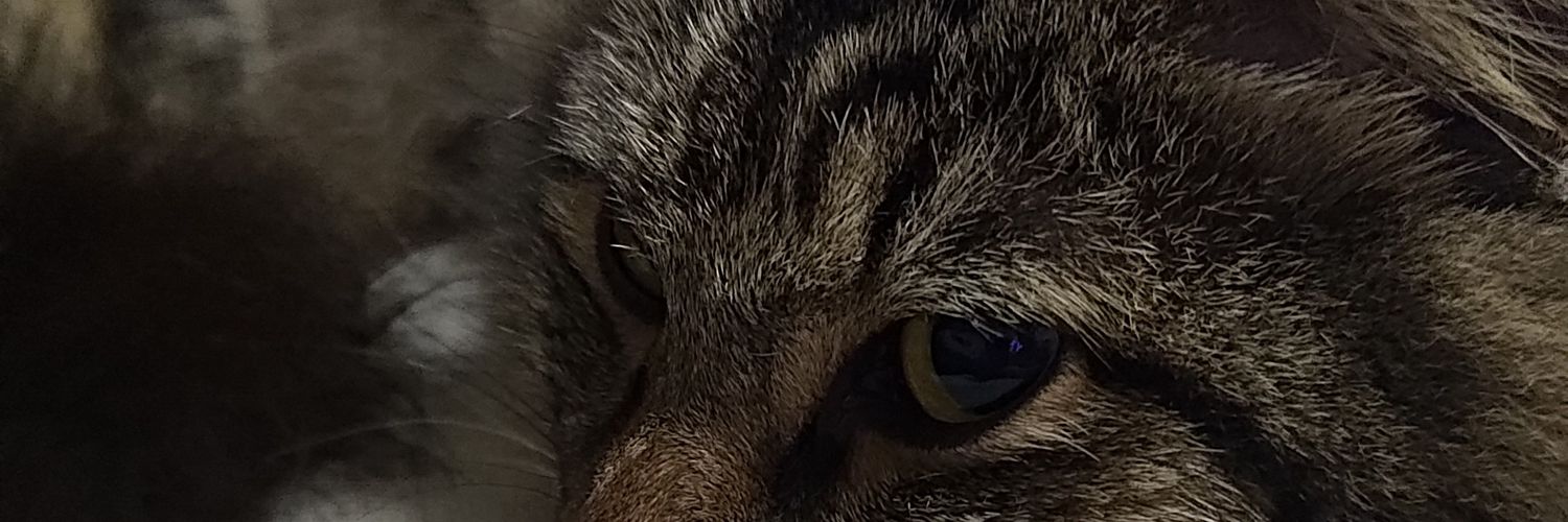 travelthots's profile banner image