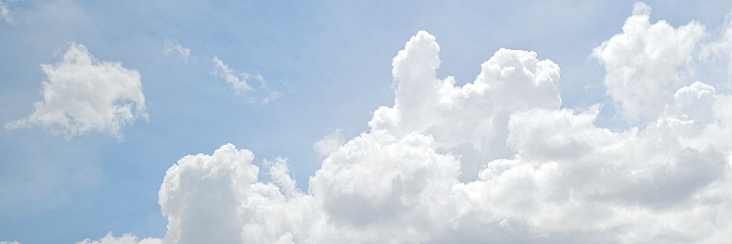Amandacocoa's profile banner image