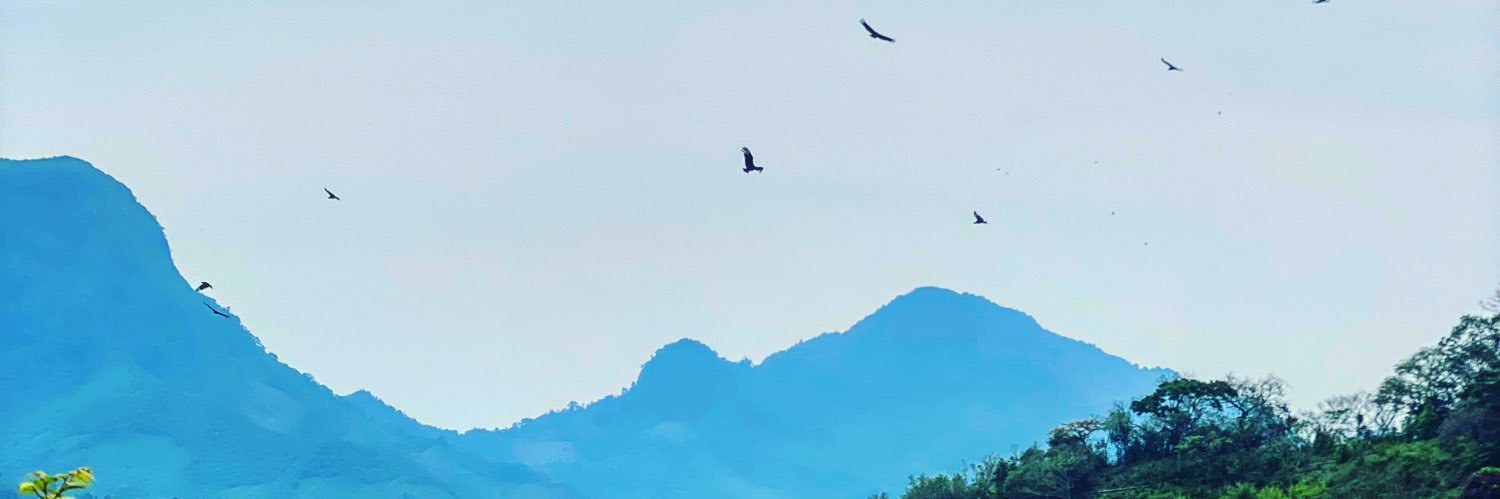 fercito's profile banner image