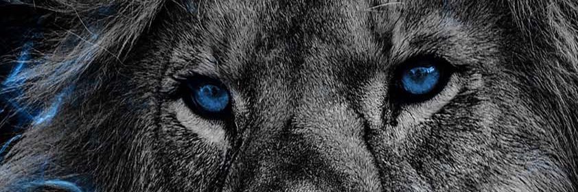 TyIrrr's profile banner image