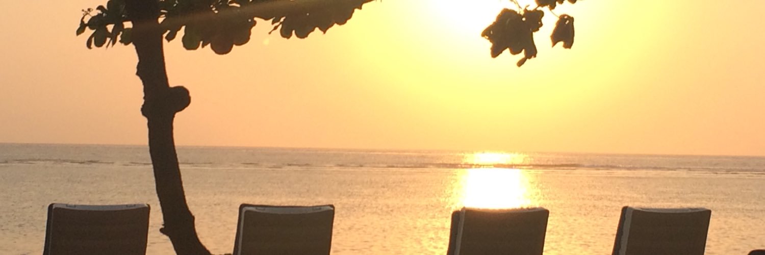 PatriciaJFranco's profile banner image