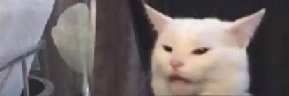 indigocat's profile banner image