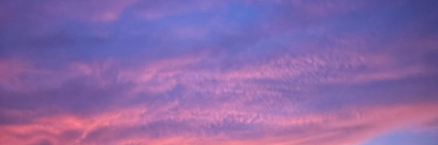 chnynoble's profile banner image