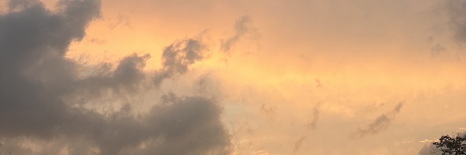 silixjoseph's profile banner image