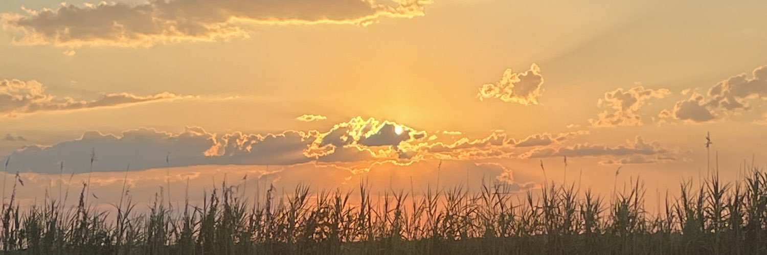 Ethan_McCollu's profile banner image