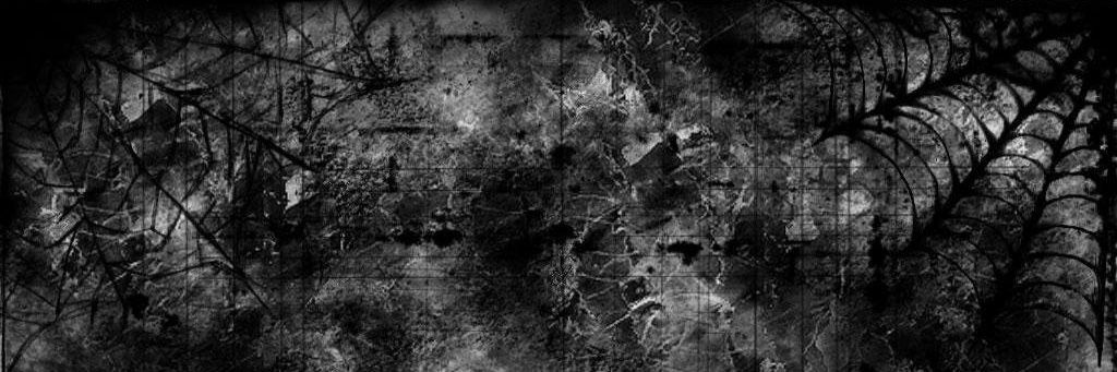 harleyjones_'s profile banner image
