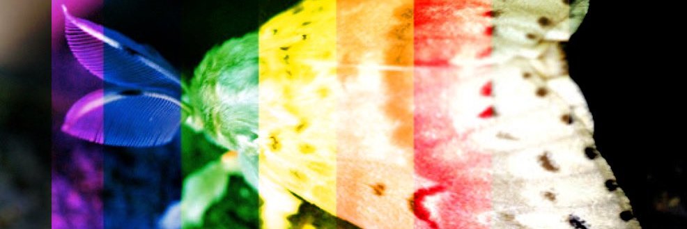 @strixus@mastodon.social banner