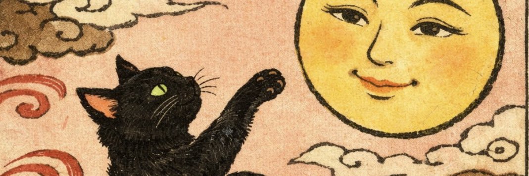taddonio's profile banner image