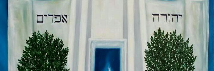 seferchayim's profile banner image