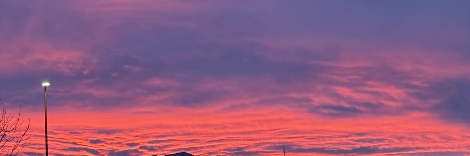 l banner