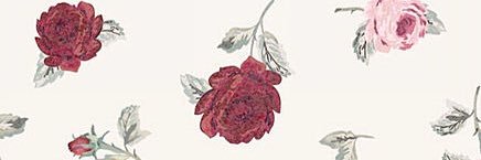 ch_kpp's profile banner image