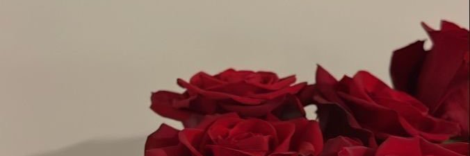 lashuana_'s profile banner image