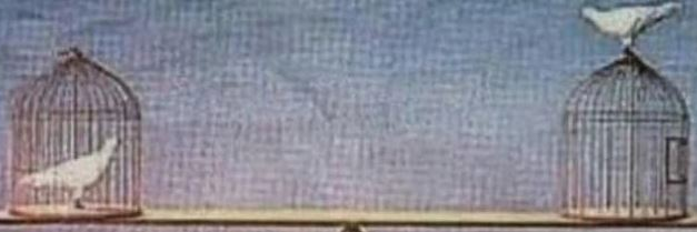 isaorhun's profile banner image