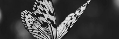 Fiammamelania's profile banner image