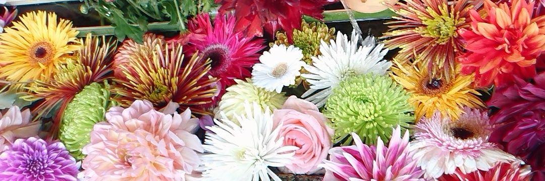 atkgmbr's profile banner image