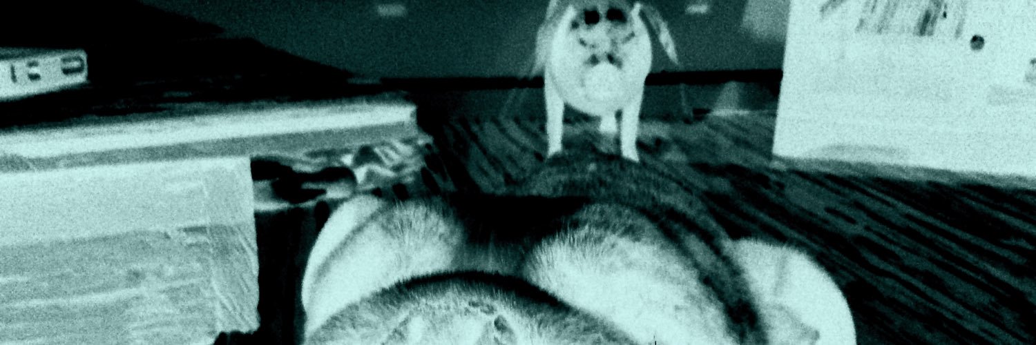 roddog101101's profile banner image