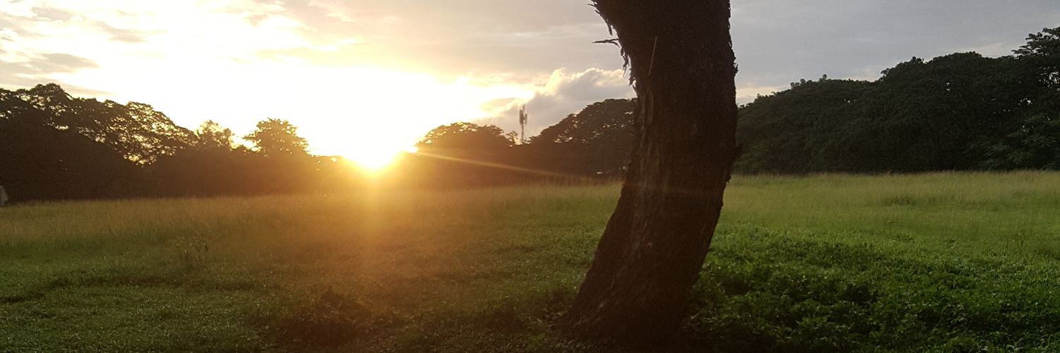 brypunzalan's profile banner image