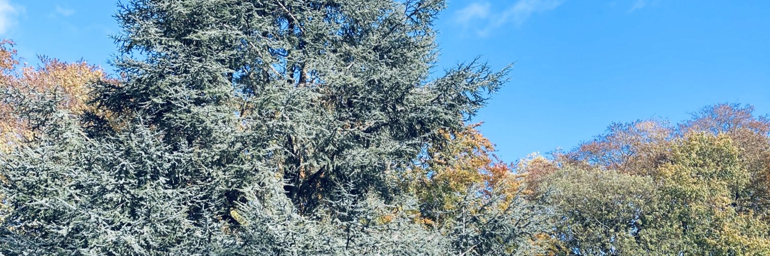 PaulienCl's profile banner image