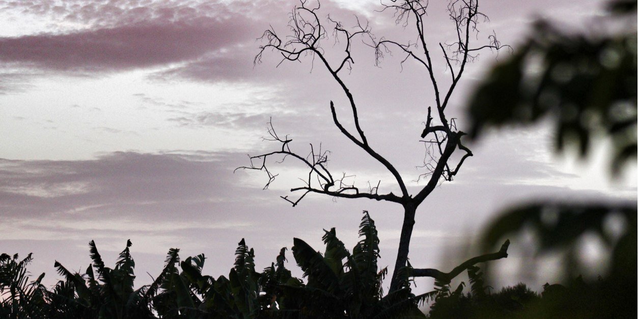 pedropascual's profile banner image
