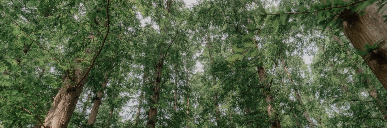 tsunesfc's profile banner image