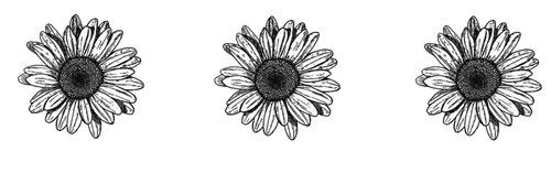 missflxwer's profile banner image