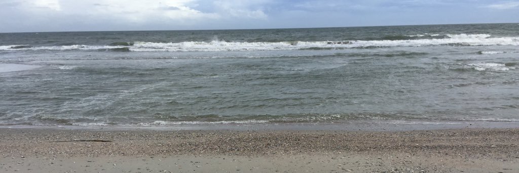 anewnetty's profile banner image