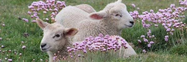 versamore Profile Banner