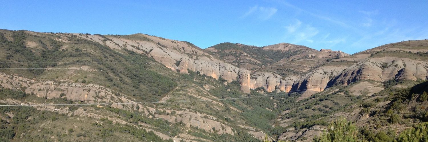 FontNoemi's profile banner image