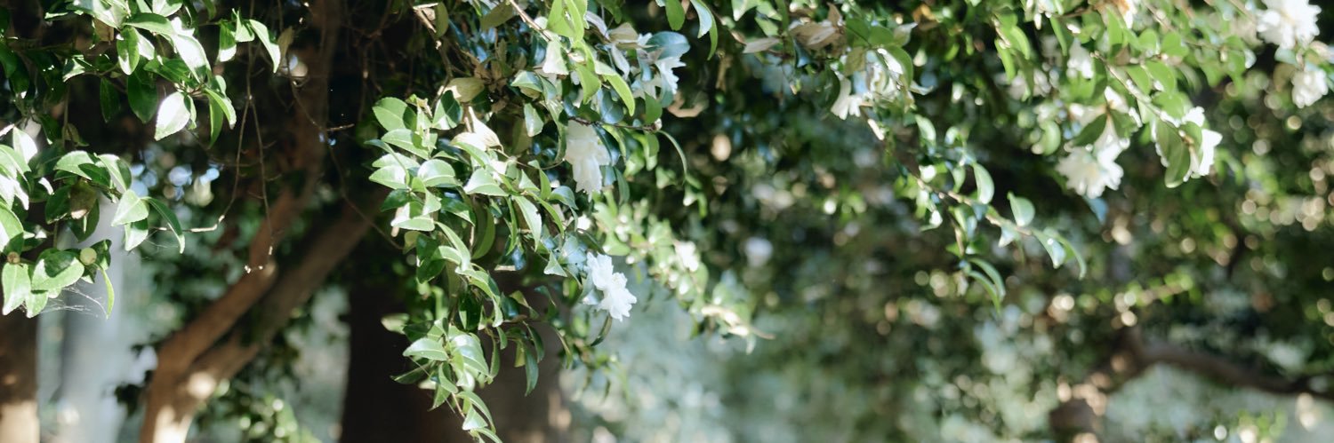 松田佳央理 banner