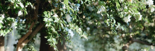 labio_monster Profile Banner