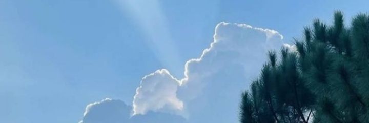 baefazool's profile banner image