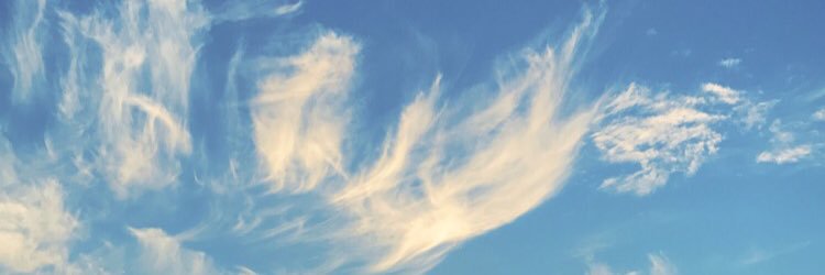 Mda9994's profile banner image