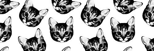 bocabularys's profile banner image