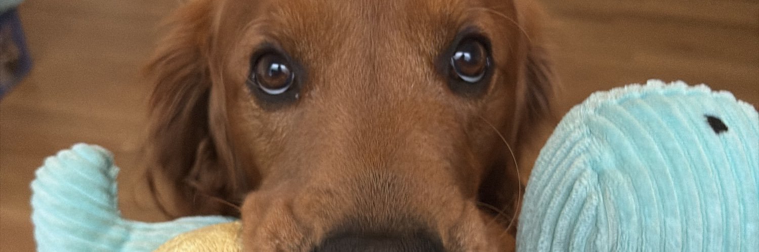 Jarrodlowery_'s profile banner image