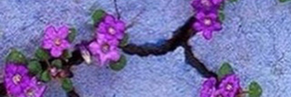 Qryche99's profile banner image