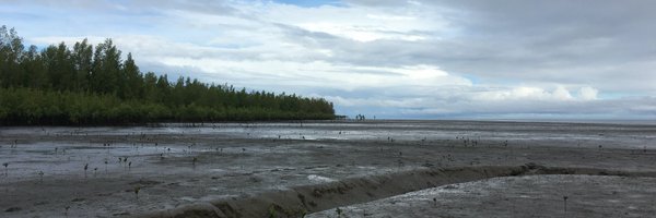 sdsasmito Profile Banner