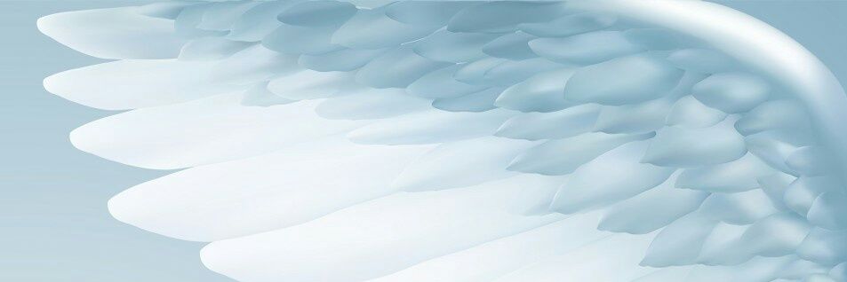 deangels2121's profile banner image