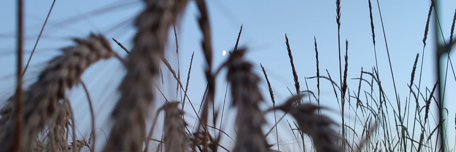 DanilyukVS's profile banner image