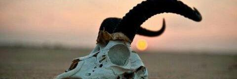 ALghenaimis's profile banner image