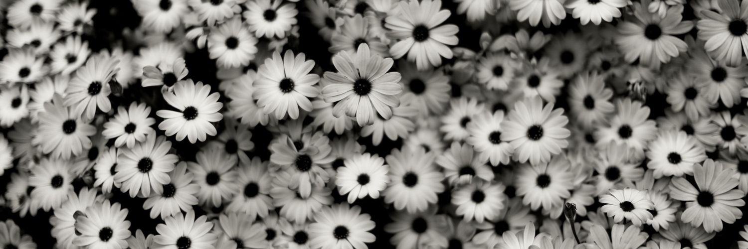 anthibrooks's profile banner image